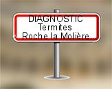 Diagnostic Termite AC Environnement à